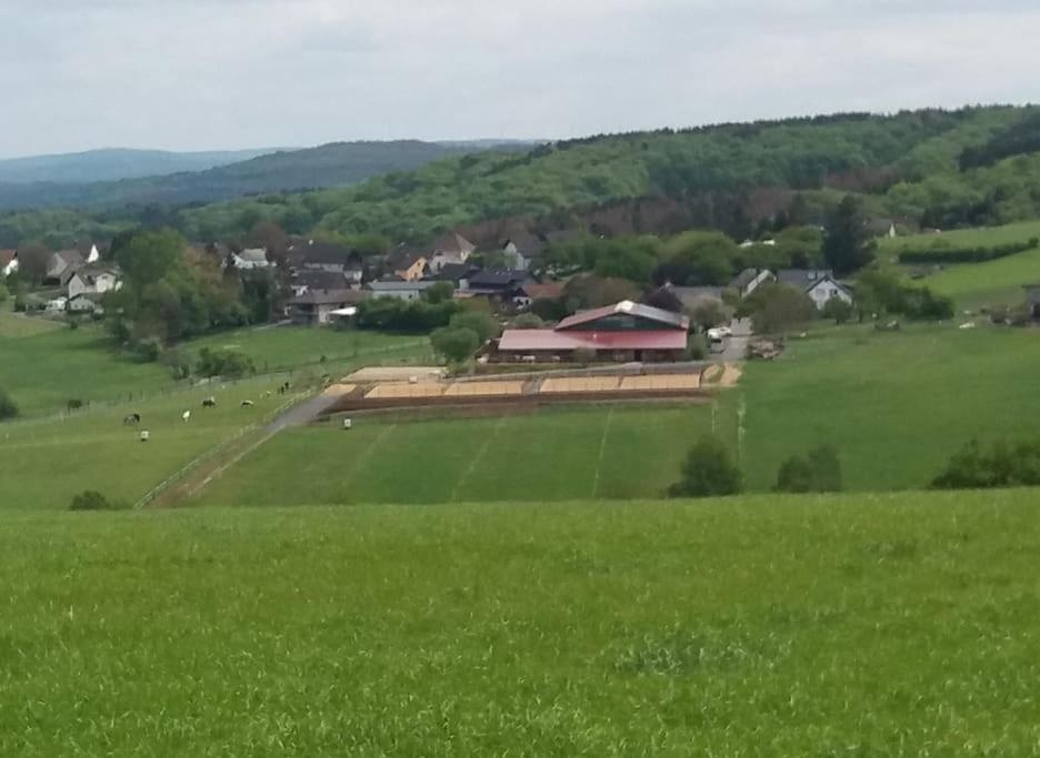 "Die Jockeysuite" Auf Unserem Reiterhof Birkenbeul Ngoại thất bức ảnh